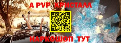 стафф Ачхой-Мартан