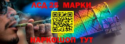 твердый Бердск