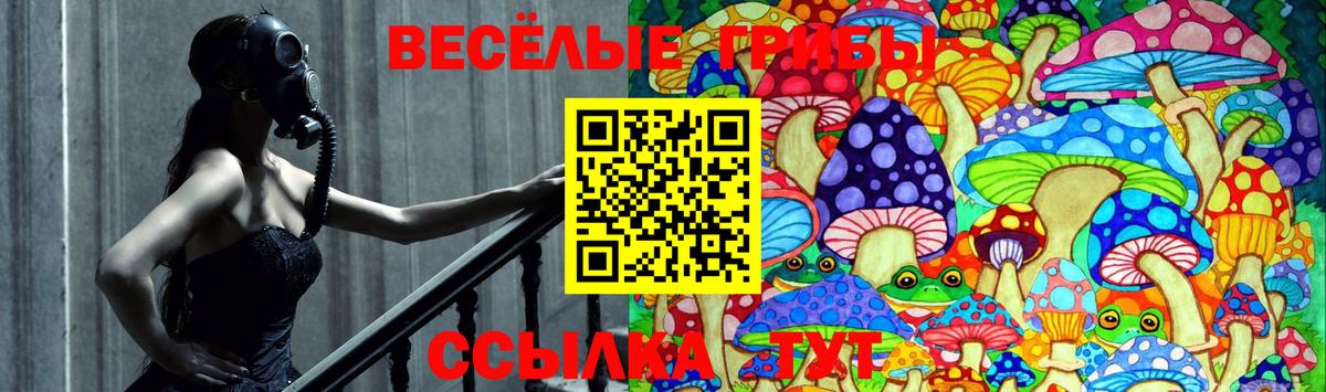 Рассказово  Псилоцибиновые грибы ЛСД  Вход с VPN 