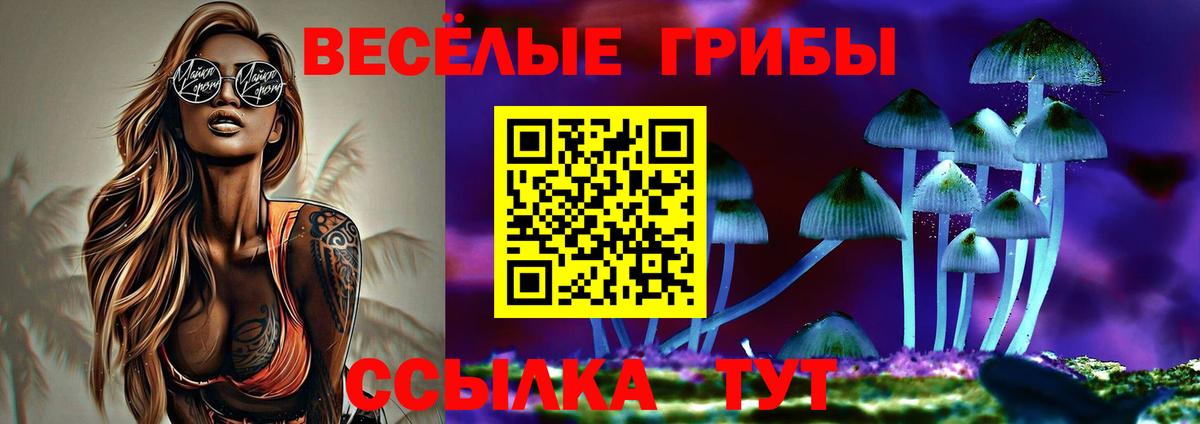 Галлюциногенные грибы прущие грибы Рассказово